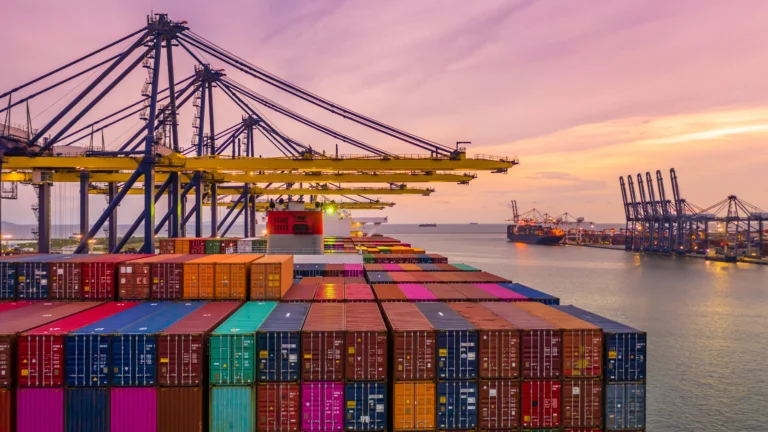 Porto em Santa Catarina operando navios de carga de importação.